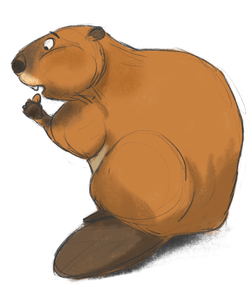 beaver charachter design